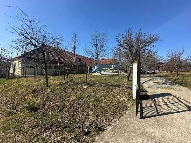 Satu Mare, Viile Satu Mare