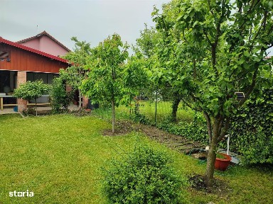 Vila Noua Mosnita Noua