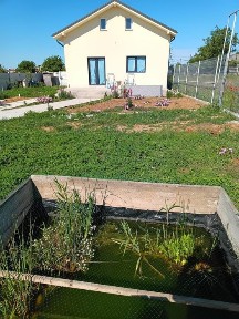 Casă de vânzare Bld Carpenului