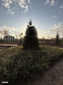 3 camere premium | Parc privat 6.000 mp | West Avenue Residence