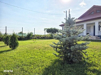 Ferma de vanzare - Oportunitate unica la doar 20 de minute de Consta