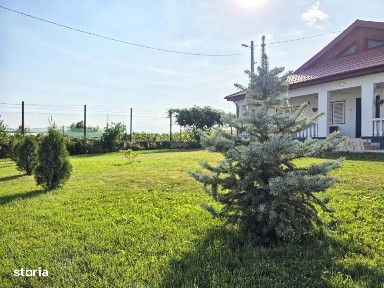 Poarta Alba, Constanta
