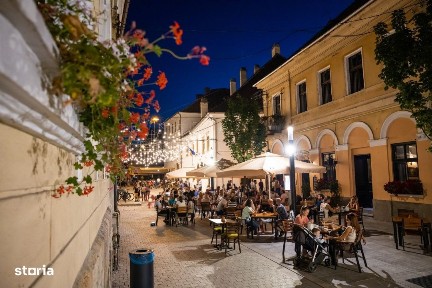 Spatiu comercial - alimentatie publica - de vanzare - Piata Muzeului