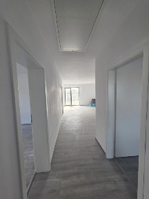 Timis, Mosnita Veche