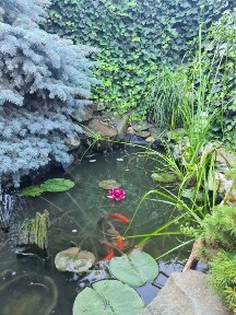 Duplex de vanzare, Mosnita Veche, 5 cam, 132 utili, toate utilitatile