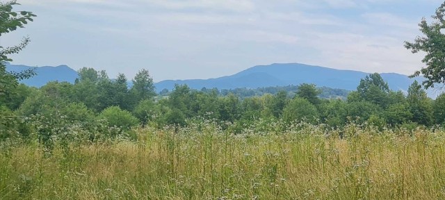 Maramures, Baia Mare