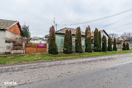 Casă în Dorobanți cu livadă + curte 2500 mp