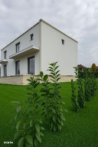 Olosig, Oradea, Bihor