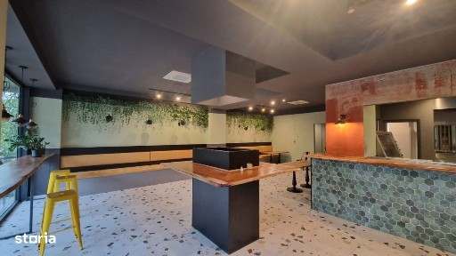 Brazda Lui Novac, Craiova, Dolj