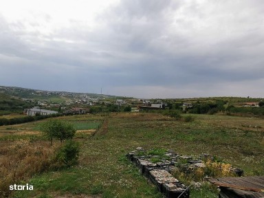Casa individuala de vanzare in Saldabagiu de Munte, posibilitate de pa
