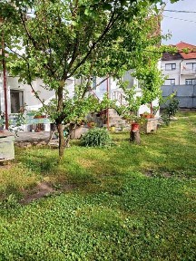 Tarnaveni - Gospodarie de vanzare