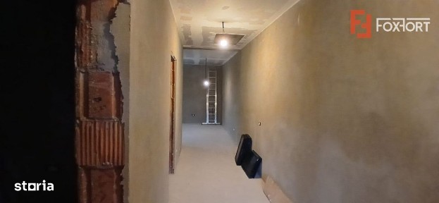 Sanmihaiu Roman, Timis