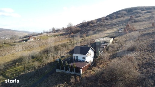 De vanzare Casa cu gospodarie in Mera
