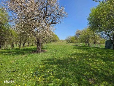 Marasti, Cluj-Napoca, Cluj