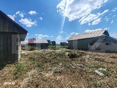Teren 9600 mp si casa batraneasca demolabila, Dealu