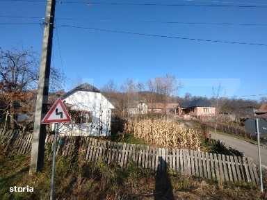 Casa 3 camere 70mp, teren intravilan 16,5 ari + 93 ari extravilan, sat