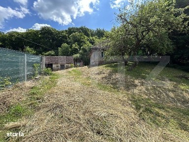 Teren podul Jelnei 3306 mp + casa veche