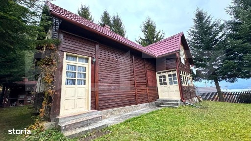 VAND CASA DE VACANTA LA COLIBITA, CU VEDERE SPRE LAC