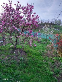 Casa spatioasa cu 7 camere, 200 mp, teren 10 ari, zona Tarlisua
