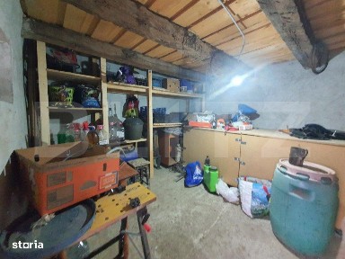 Casa individuala + 7,1 ha de teren dispersat, in Pinticu