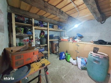 Casa individuala + 7,1 ha de teren dispersat, in Pinticu