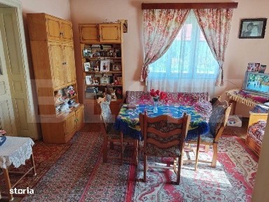 Casa pitoreasca in Viile Tecii cu o gradina de 26 de arii