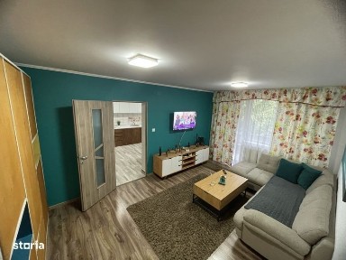 Subcentral, Satu Mare