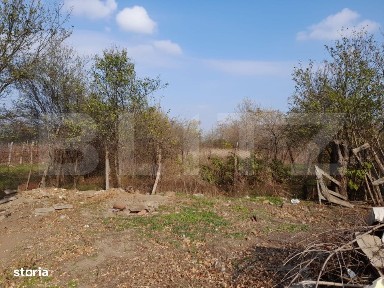 Teren 1160 mp + casa batraneasca, zona Cosoveni