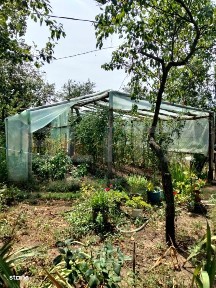 Casa renovabila/demolabila cu 2300 mp teren, Varvor/Bujoru