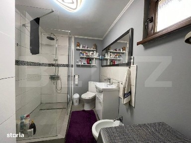 Casa batraneasca, anexa noua + spatiu comercial, 264mp teren, Geoge En