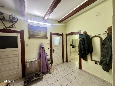 Proprietate mixta de vanzare - locuinta + hala - Tasnad, SM