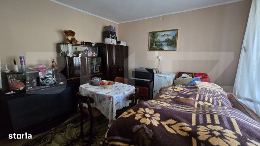 Casa 2 camere, 95 mp. Teren 4446 mp - Amati