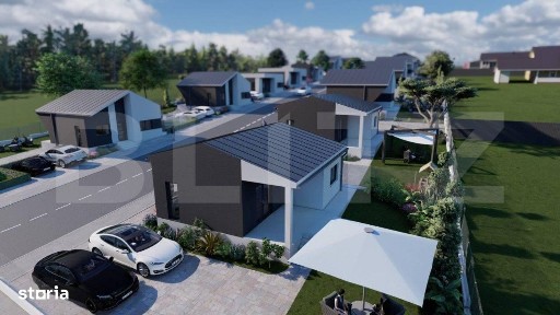 Viile Satu Mare, Satu Mare