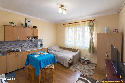 Gospodarie cu atmosfera traditionala,sursa proprie apa,pivnita,magazie