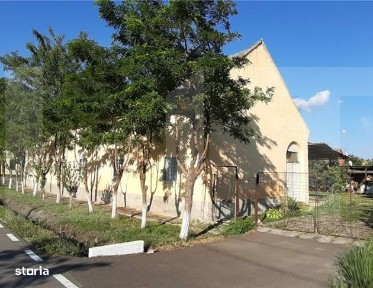 Casa mare de vanzare Checea 220mp