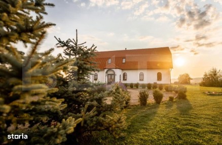 Conac de vanzare 7 camere cu bai proprii, crama, ciubar si potential