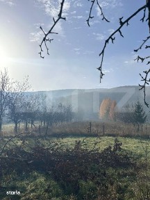 Casa de vacanta de vanzare, in Lisnau - Comuna Ozun