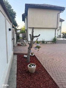 Casă Lăpuș Argeș-Rovine