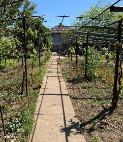 Bulevardul 9 Mai, Techirghiol, Constanta