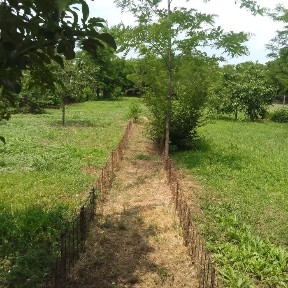 Casă de vânzare ciocănești