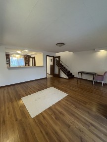 Vila Spatioasa 3 camere Cosmopolis