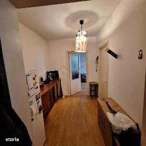 Alexandru Cel Bun, Iasi