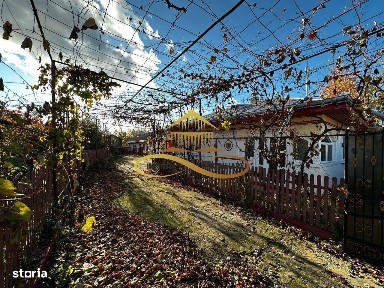 Strada Principala, Negri, Bacau