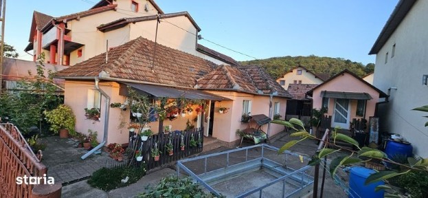 Casa familiala Dezmir