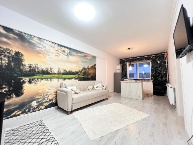 Apartament 2 Camere Studio Ilie Petre Militari Residence Penny