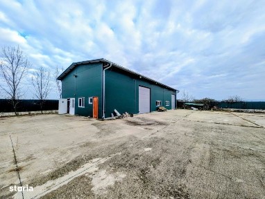 Hala de inchiriat - Hodis, comuna Holod