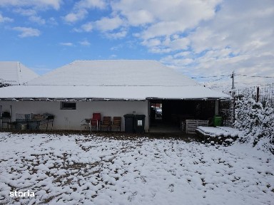 Suplacu De Tinca, Capalna, Bihor