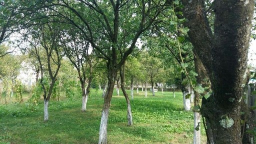 Maramures, Ocna Sugatag