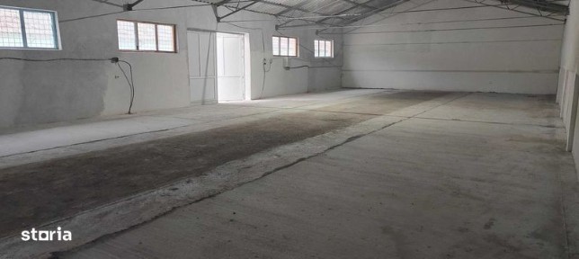 Dobrotinet, Curtisoara, Olt