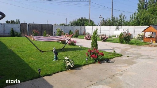 Alexandria, Teleorman